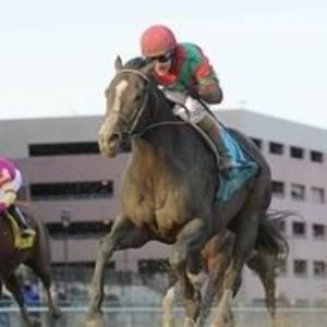 Meet your Posher, Francisco